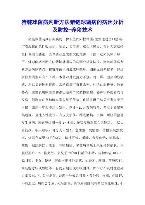 猪链球菌病判断方法 猪链球菌病的病因分析及防控 - 养猪技术