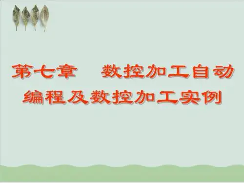 凸模板数控加工工艺设计(doc 9页)