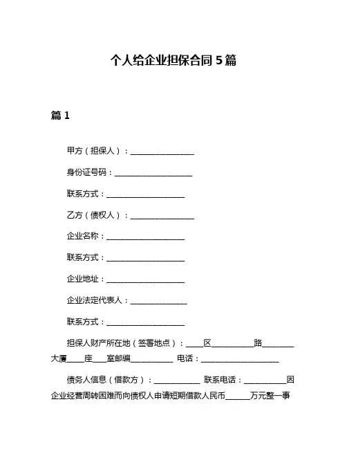 个人给企业担保合同5篇