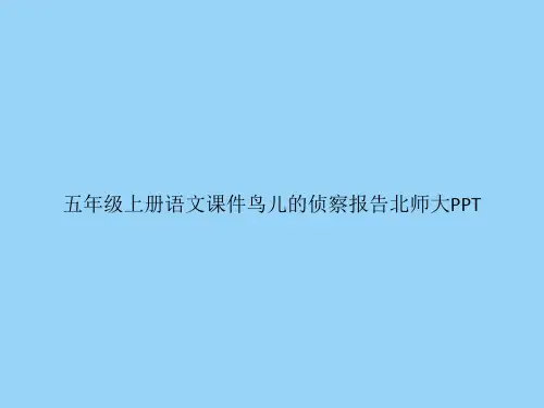 五年级上册语文鸟儿的侦察报告北师大