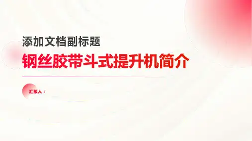 钢丝胶带斗式提升机简介2014最新