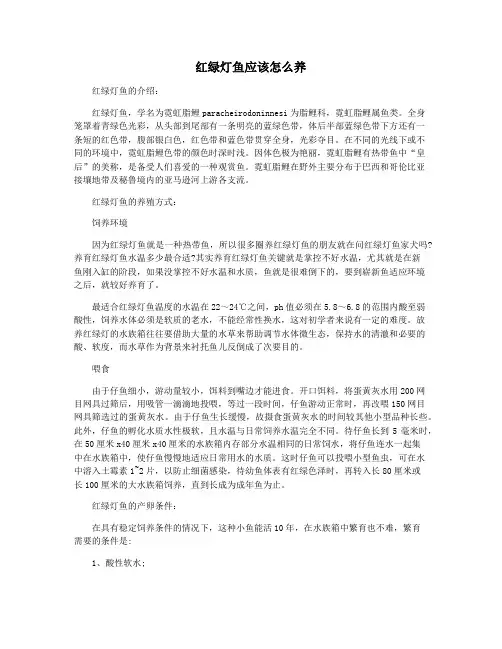 红绿灯鱼应该怎么养