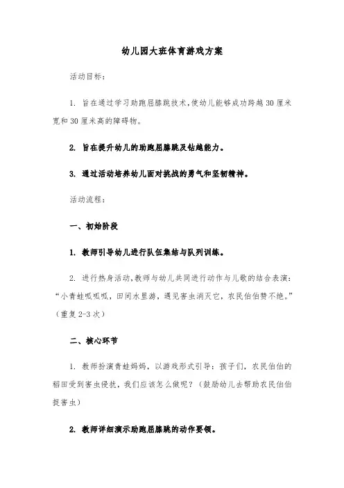 幼儿园大班体育游戏方案（二篇）