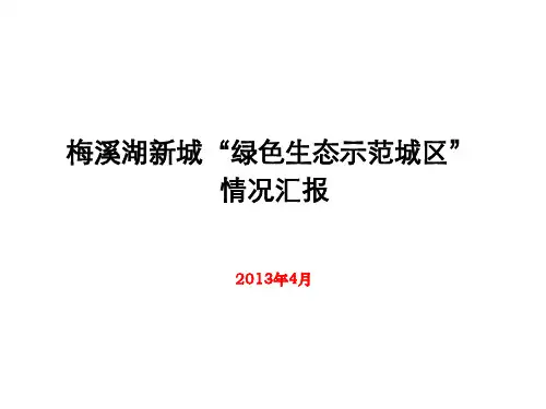 梅溪湖新城“绿色生态示范城区”开发汇报