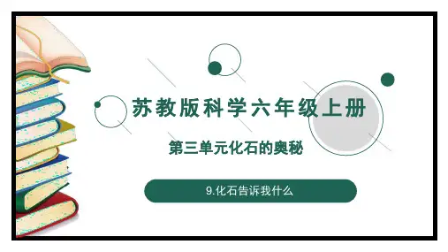化石告诉我们什么(课件)六年级上册科学