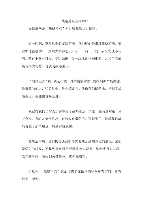 战略重点名词解释