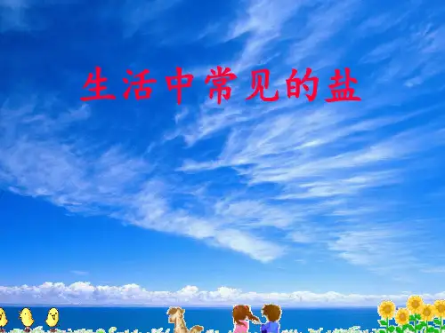 初中化学生活中常见的盐PPT课件