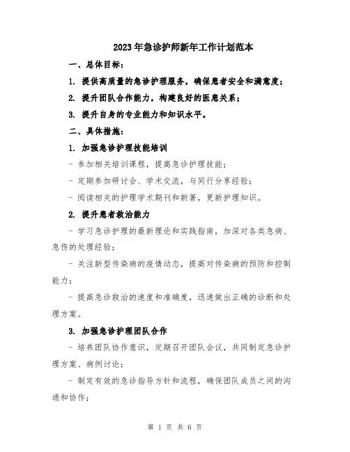 2023年急诊护师新年工作计划范本