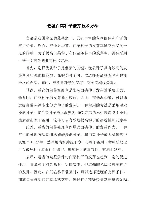 低温白菜种子催芽技术方法