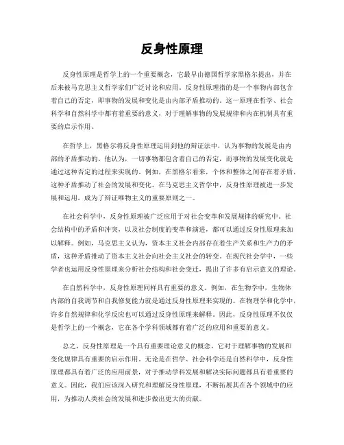 反身性原理