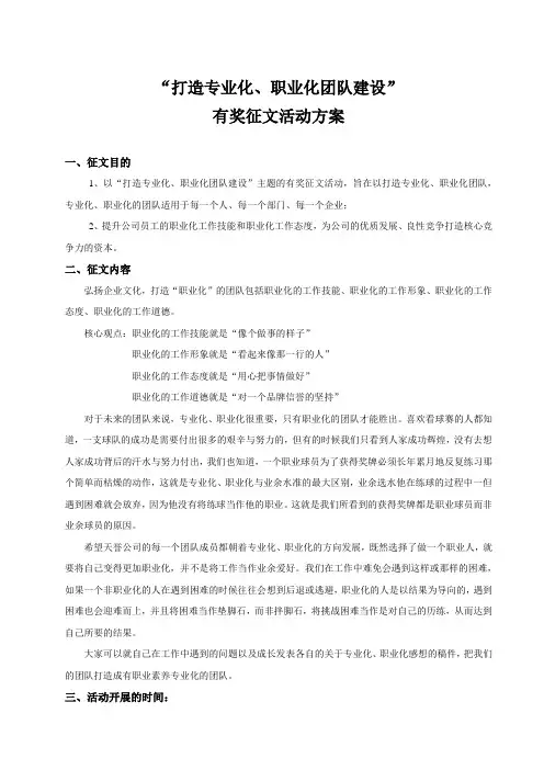 打造专业化、职业化团队建设