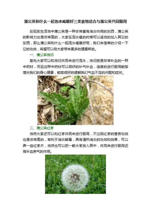 蒲公英和什么一起泡水喝最好三类食物适合与蒲公英共同服用