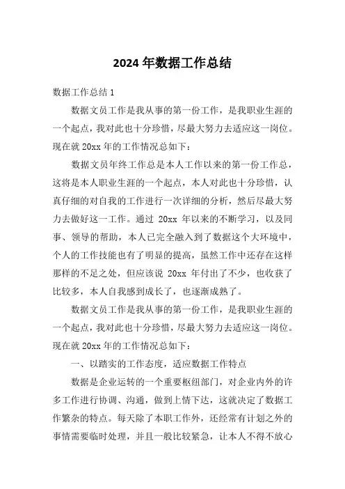 2024年数据工作总结