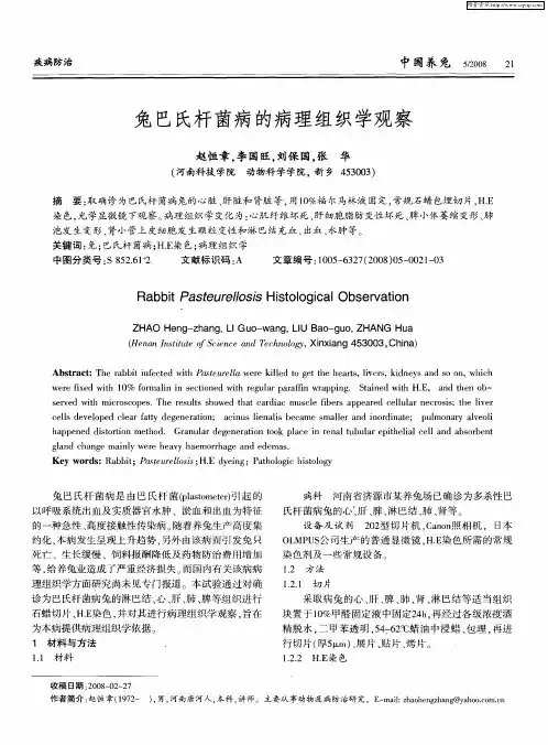 兔巴氏杆菌病的病理组织学观察