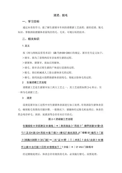 猪屠宰加工工培训 02浸烫脱毛