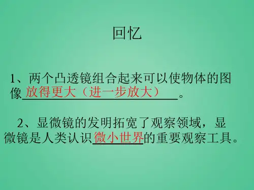 1-5用显微镜观察身边的生命世界(一)(课件)科学六年级下册-教科版