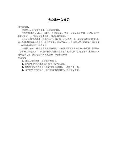 拂尘是什么意思