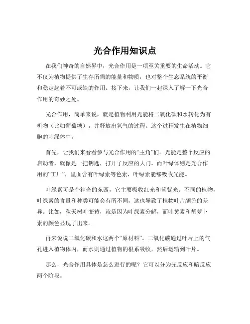 光合作用知识点