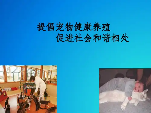 宠物的健康养殖ppt课件