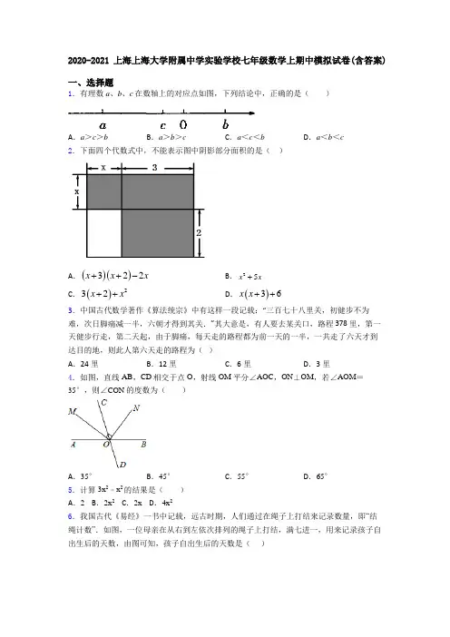 2020-2021上海上海大学附属中学实验学校七年级数学上期中模拟试卷(含答案)