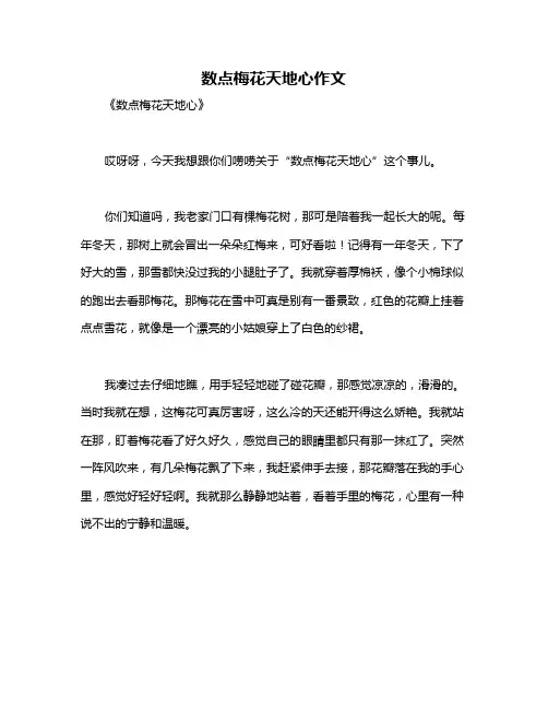 数点梅花天地心作文