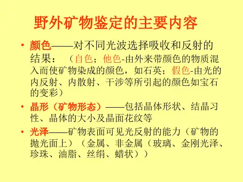 野外矿物岩石鉴定的理论与方法
