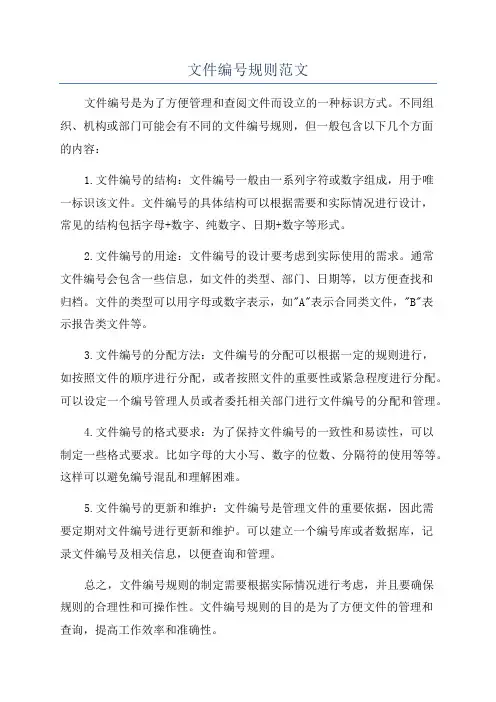 文件编号规则范文