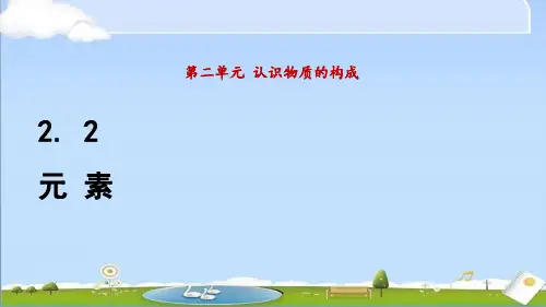2024年秋季新鲁教版九年级上册化学教学课件 2.2 元 素