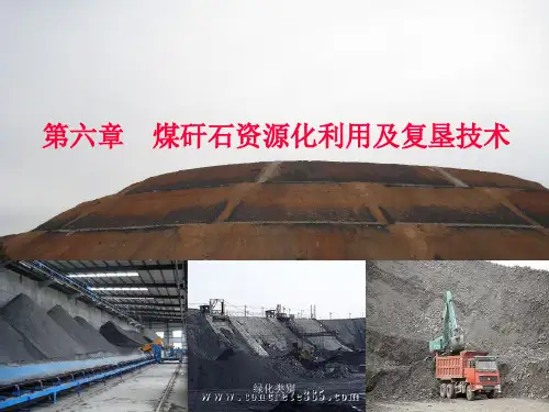 煤矸石资源化利用及复垦技术(绿化资料)