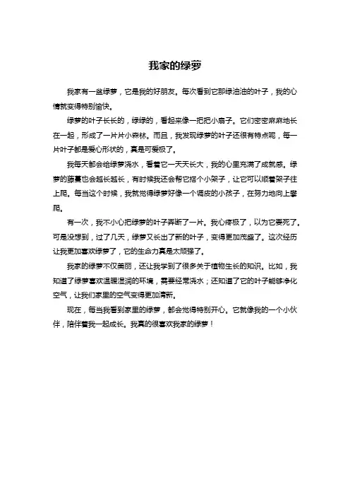 我家的绿萝