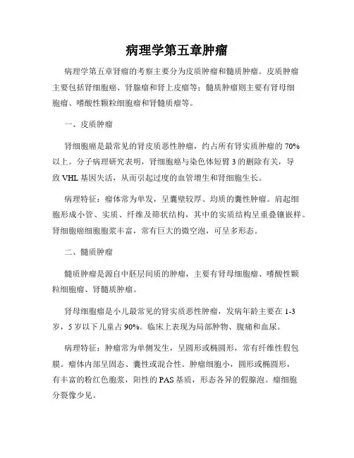 病理学第五章肿瘤
