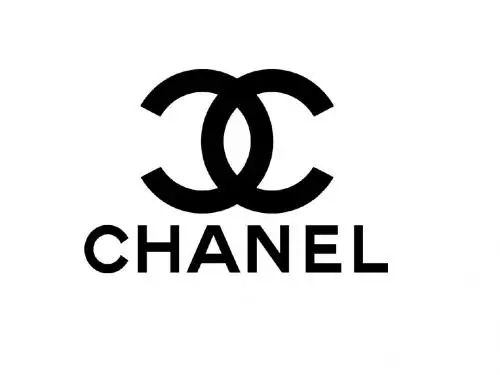 Chanel ppt