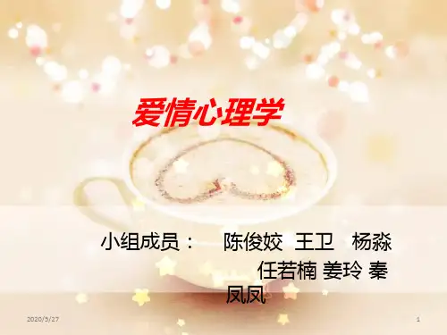 爱情心理学 PPT课件