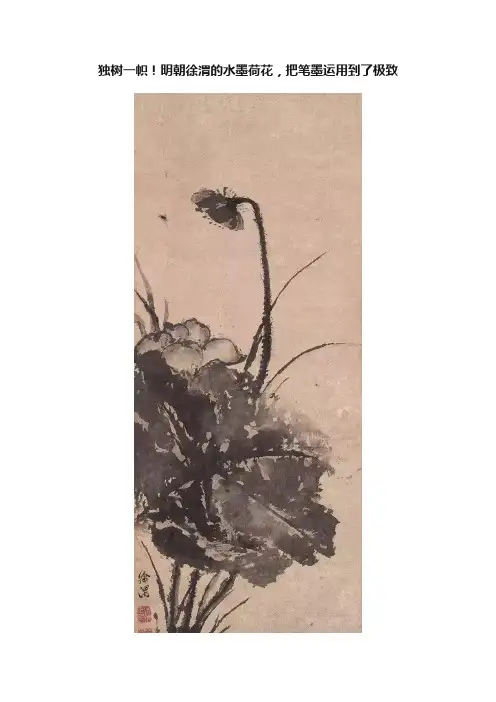 独树一帜！明朝徐渭的水墨荷花，把笔墨运用到了极致