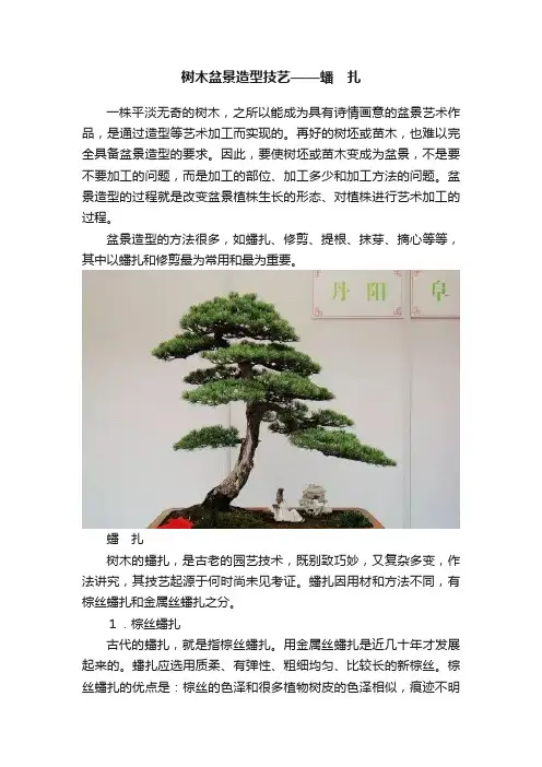 树木盆景造型技艺——蟠　扎