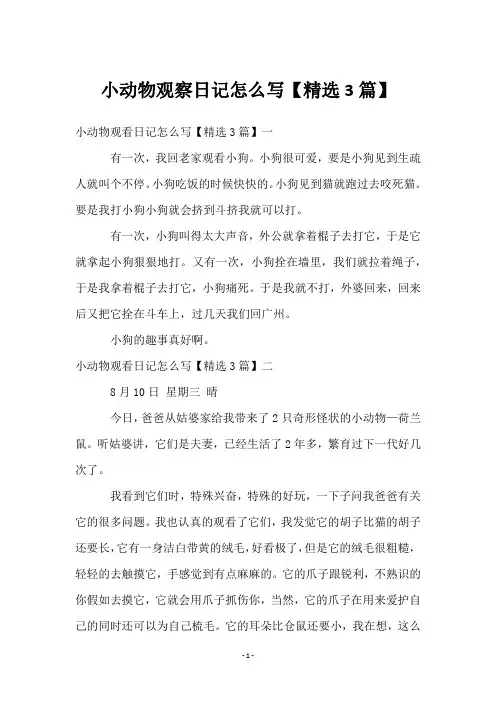 小动物观察日记怎么写【3篇】