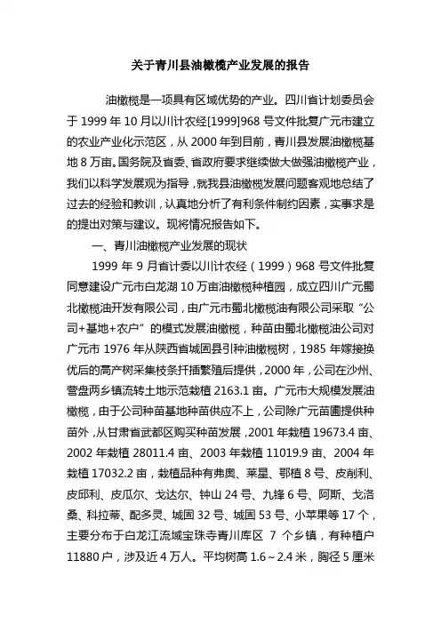 关于青川发展油橄榄产业的调研报告