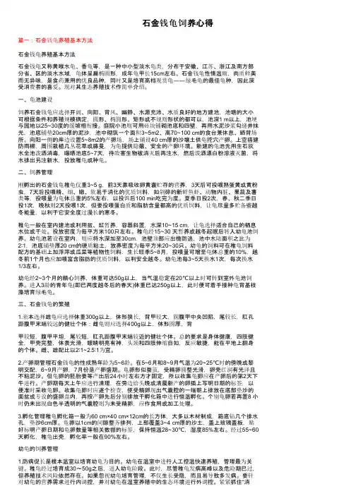 石金钱龟饲养心得