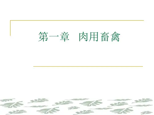 一章肉用畜禽