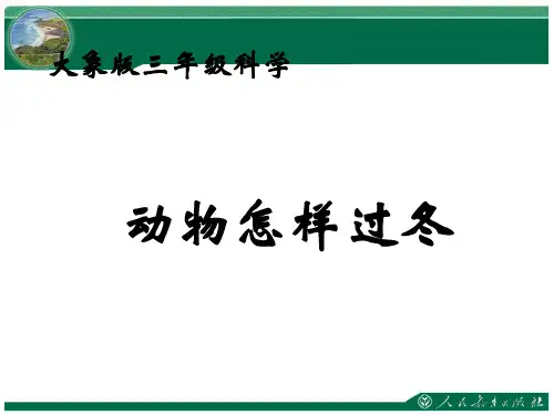《动物怎样过冬》教学课件