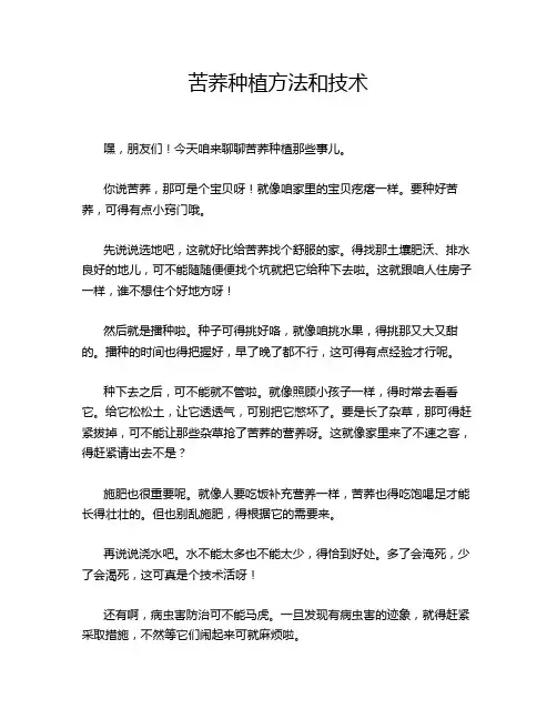 苦荞种植方法和技术