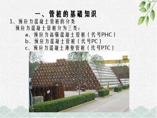 预应力混凝土管桩基础知识.ppt