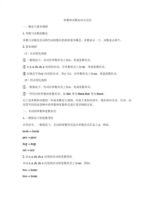 单数和双数知识点总结