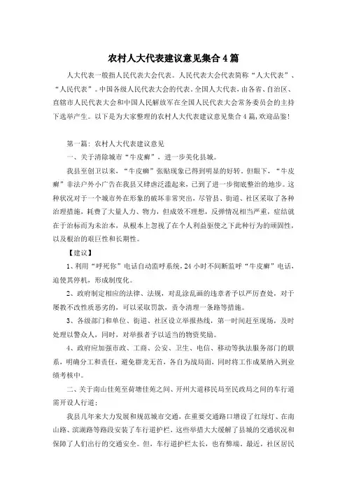 农村人大代表建议意见集合4篇
