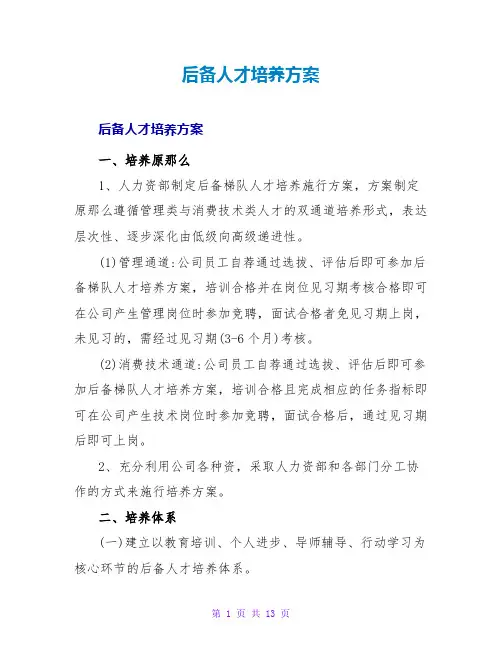 后备人才培养计划