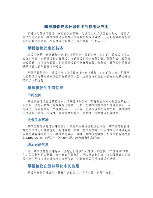 攀援植物在园林绿化中的作用及应用