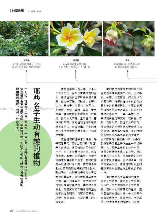 那些名字生动有趣的植物