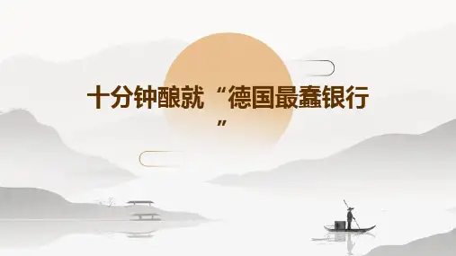 十分钟酿就“德国最蠢银行”