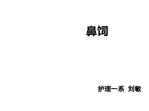 鼻饲PPT课件