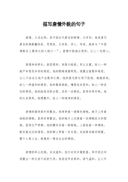 描写唐僧外貌的句子
